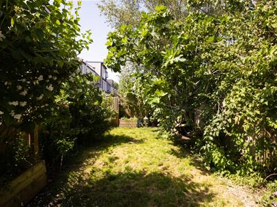Picture 22